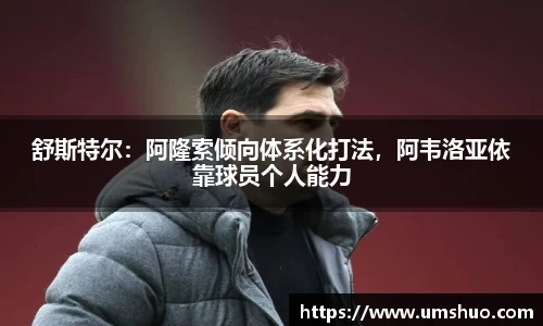 舒斯特尔：阿隆索倾向体系化打法，阿韦洛亚依靠球员个人能力